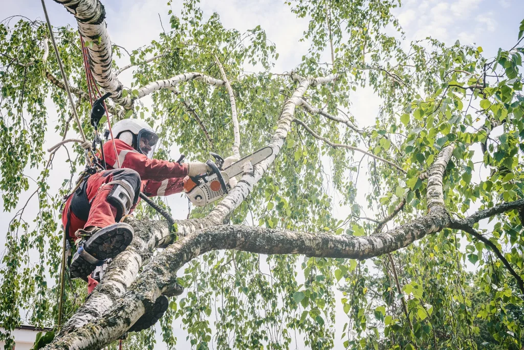 Tree Service Near Me in Crystal Lake